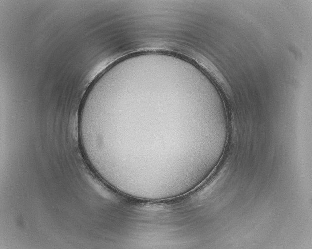 X0000115510842200911271429