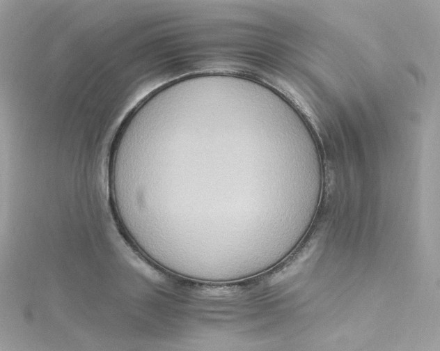 X0000115510843200911271429