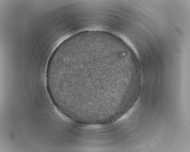 X0000115510845200911271429