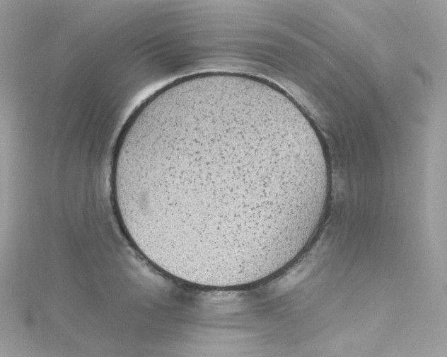 X0000115510846200911271429