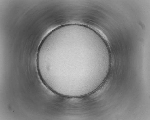 X0000115510847200911271429