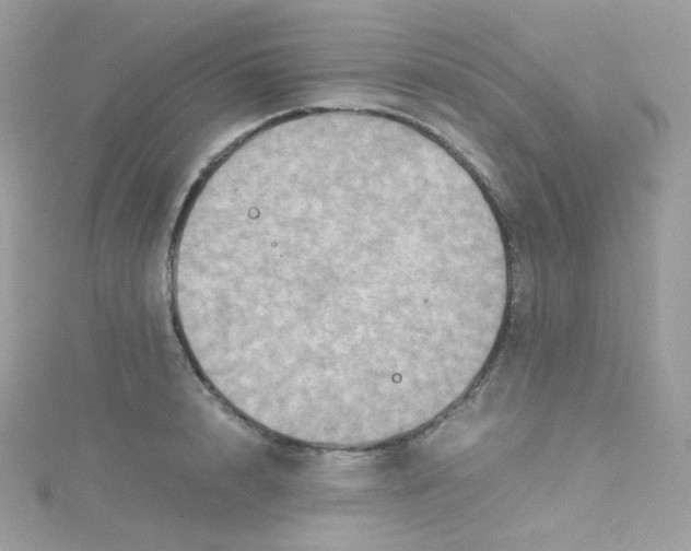 X0000115510848200911271429