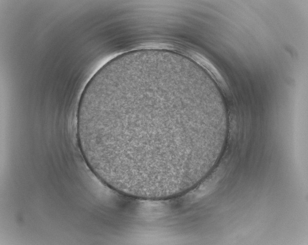 X0000115510852200911271429