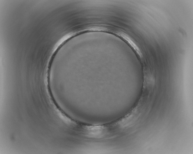 X0000115510853200911271429