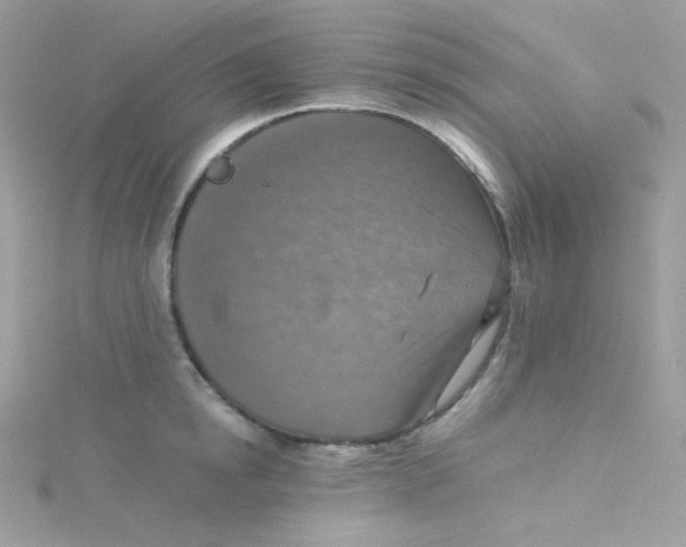 X0000115510854200911271429