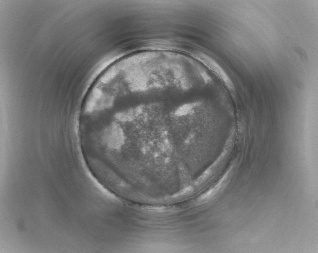 X0000115510855200911271429