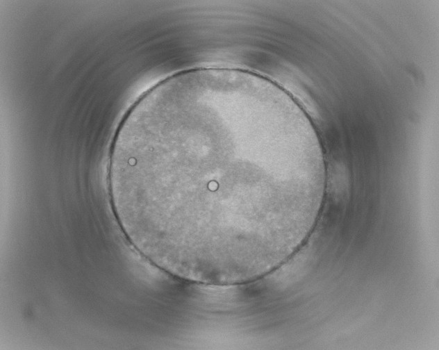 X0000115510856200911271429