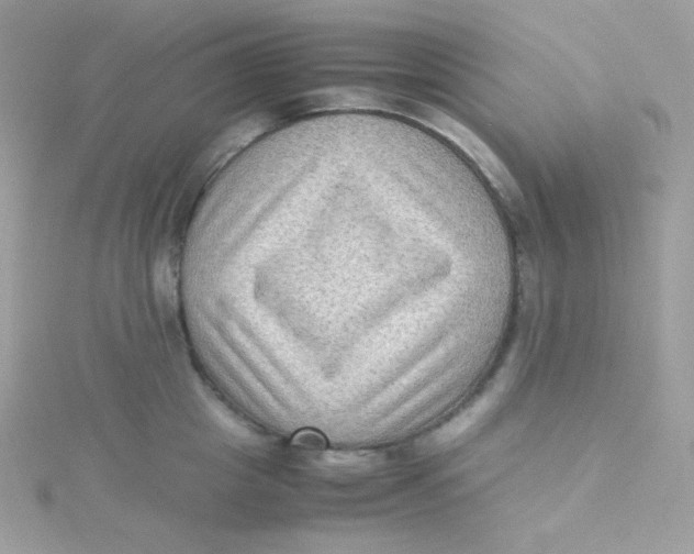 X0000115510857200911271429