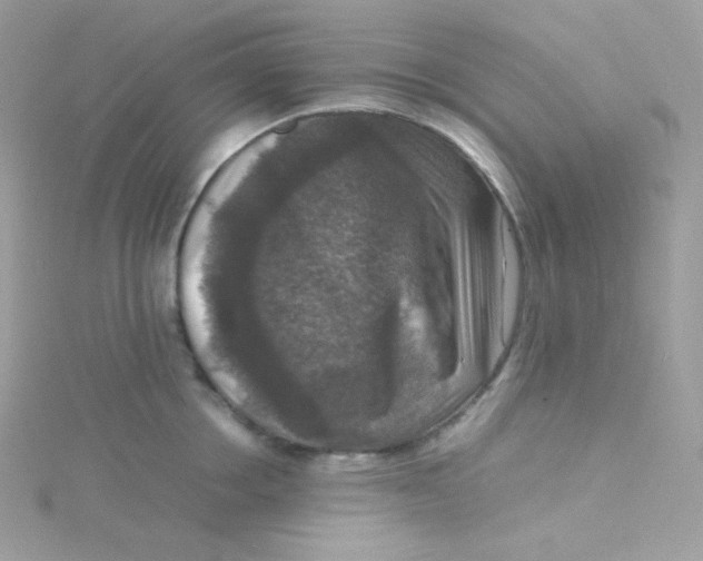 X0000115510858200911271429