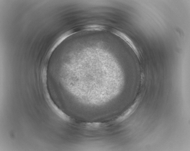 X0000115510859200911271429