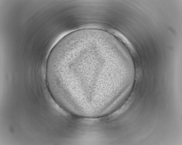 X0000115510860200911271429