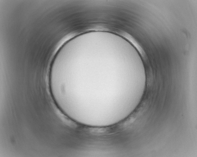 X0000115510861200911271429