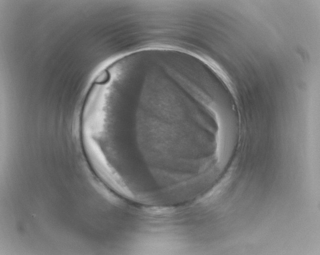 X0000115510862200911271429