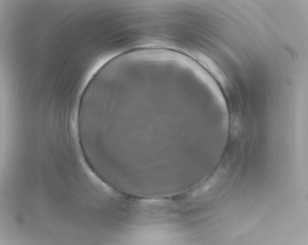 X0000115510863200911271429