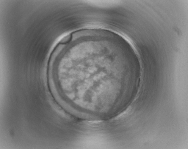 X0000115510864200911271429