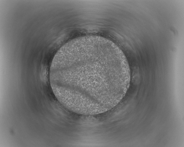 X0000115510866200911271429