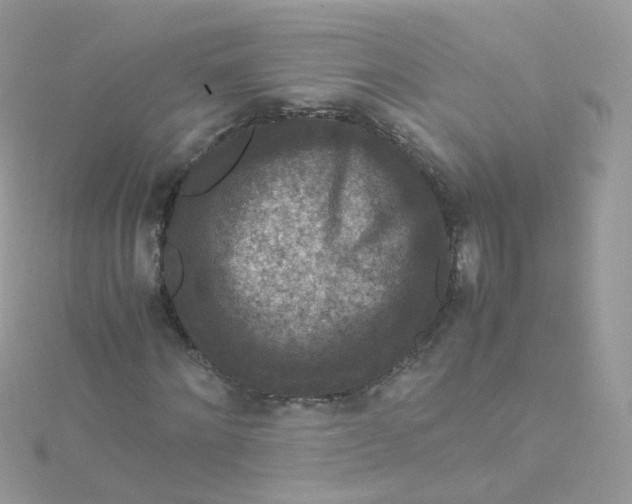 X0000115510868200911271429