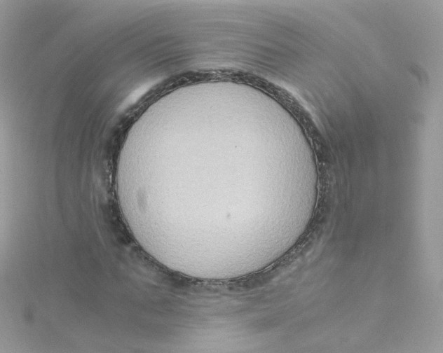 X0000115510871200911271429