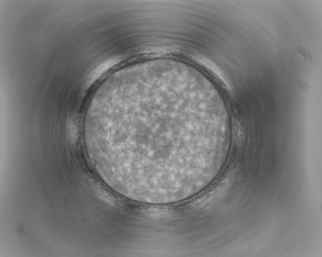 X0000115510874200911271429