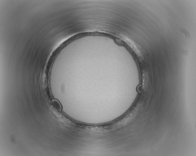 X0000115510876200911271429