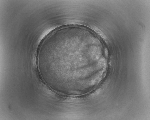 X0000115510877200911271429