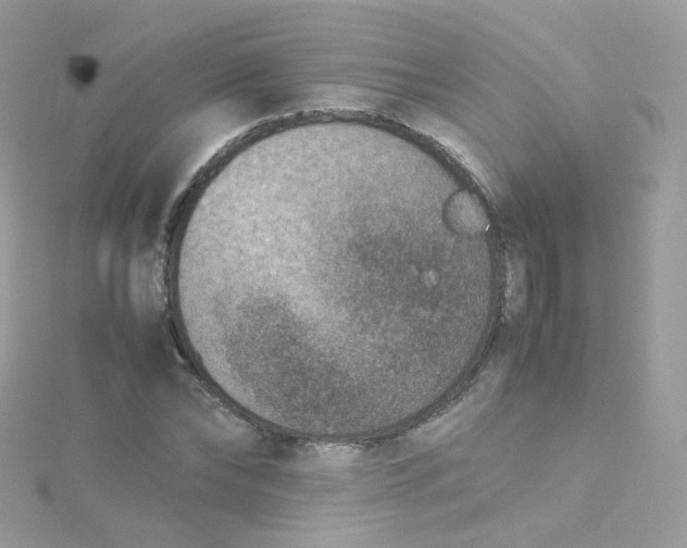 X0000115510878200911271428