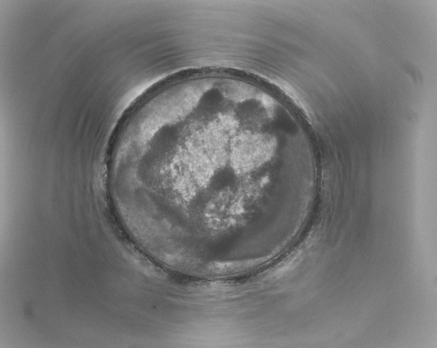 X0000115510879200911271428