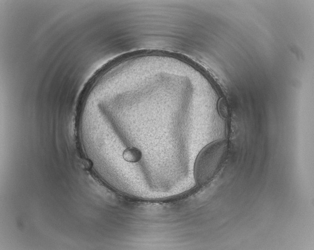 X0000115510880200911271428