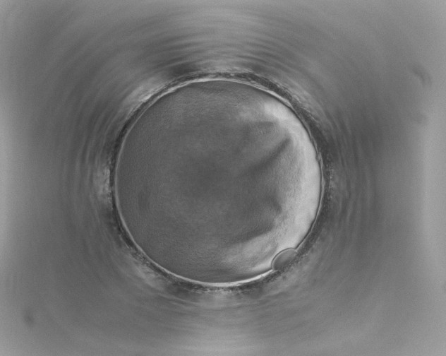 X0000115510881200911271428