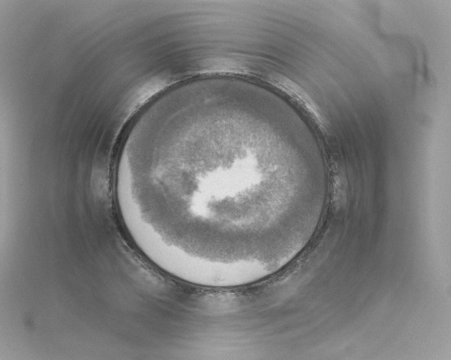 X0000115510882200911271428