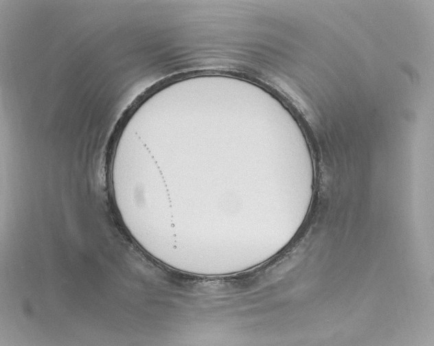 X0000115510883200911271428