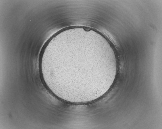 X0000115510884200911271428