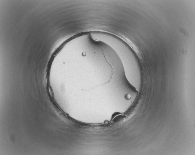 X0000115510885200911271428