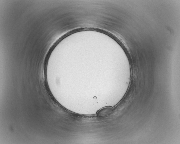 X0000115510887200911271428