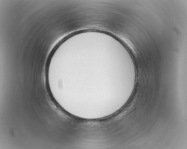 X0000115510888200911271428