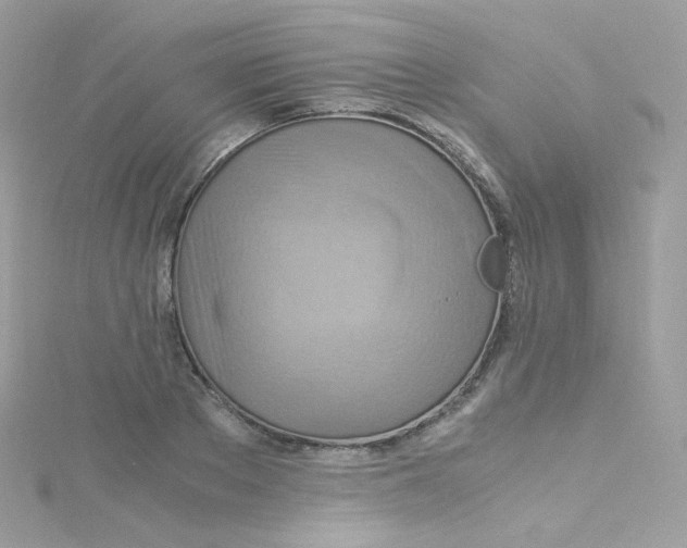 X0000115510889200911271428