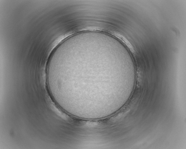 X0000115510890200911271428