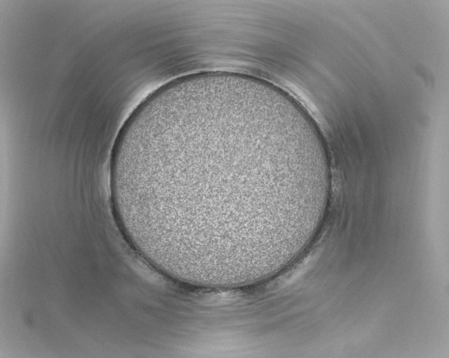 X0000115510891200911271428