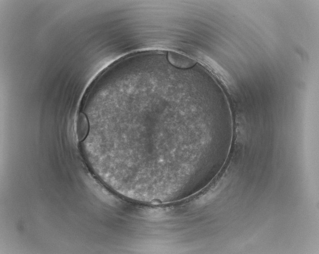 X0000115510892200911271428