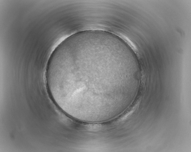 X0000115510893200911271428