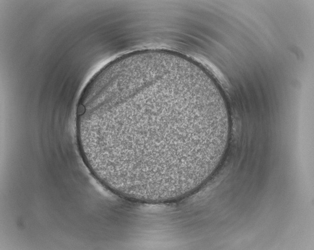 X0000115510894200911271428