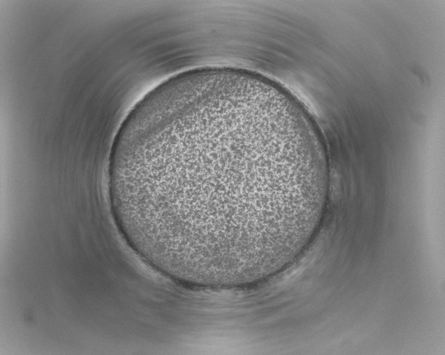 X0000115510895200911271428