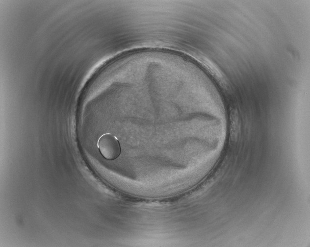 X0000115510896200911271428