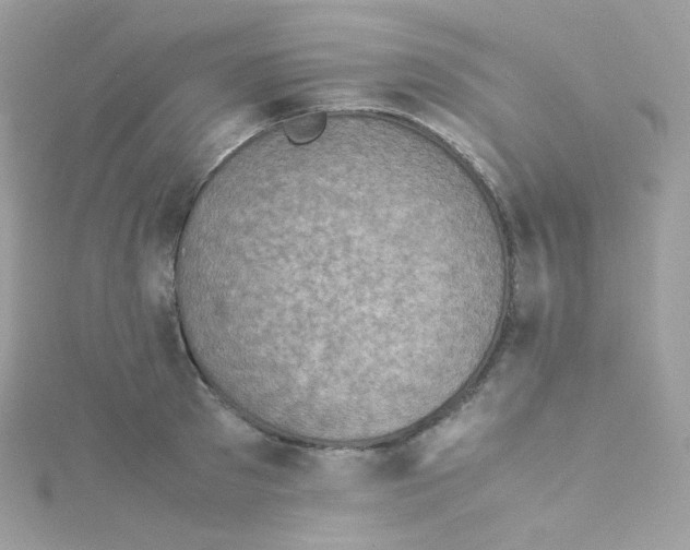 X0000115510897200911271428