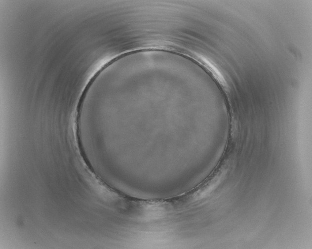 X0000115510899200911271428