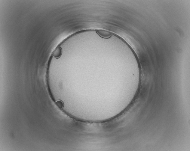 X0000115510901200911271428