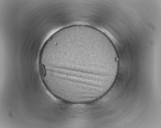 X0000115510902200911271428