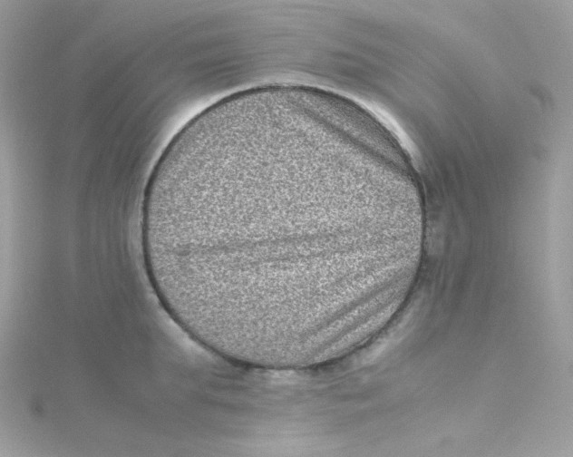 X0000115510903200911271428