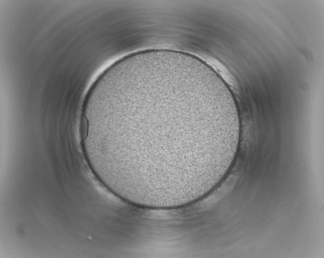 X0000115510904200911271428