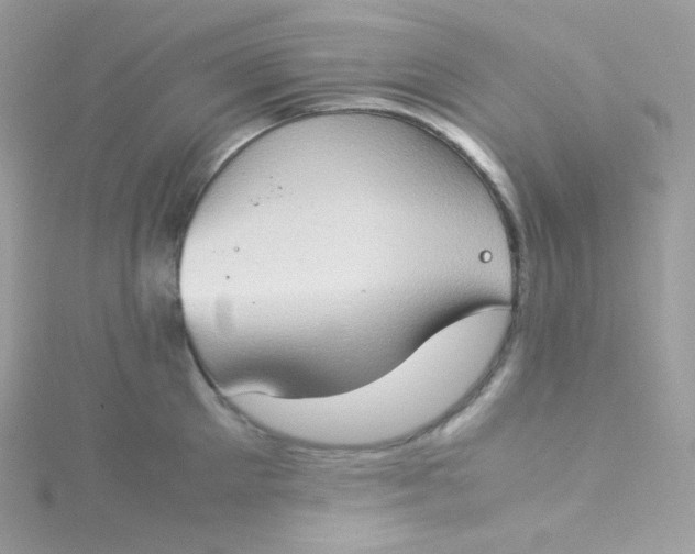 X0000115510905200911271428